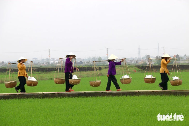 Giống gạo đặc biệt ở làng bún 400 tuổi được công nhận là di sản văn hóa quốc gia - Ảnh 6.