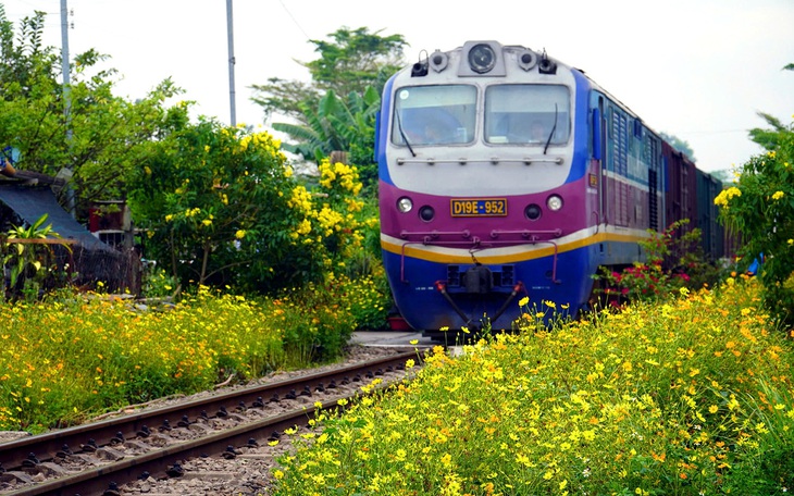 Quận Phú Nhuận trồng hoa vỉa hè, thu rác cồng kềnh miễn phí - Ảnh 5.