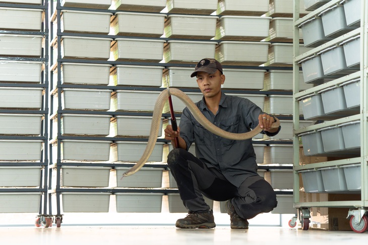 Phạm Minh Hiếu & "Cát mộng duy xà" - Ảnh 7.