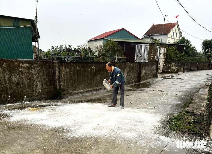 Ráo riết phòng chống dịch tả heo Châu Phi - Ảnh 2.