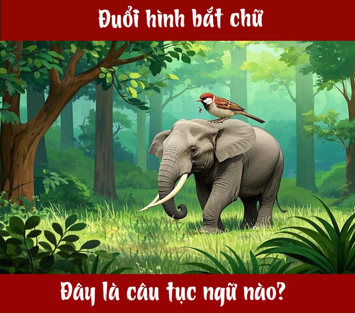 Câu tục ngữ, thành ngữ 'khó nhằn' này là gì? (P97) - Ảnh 1.