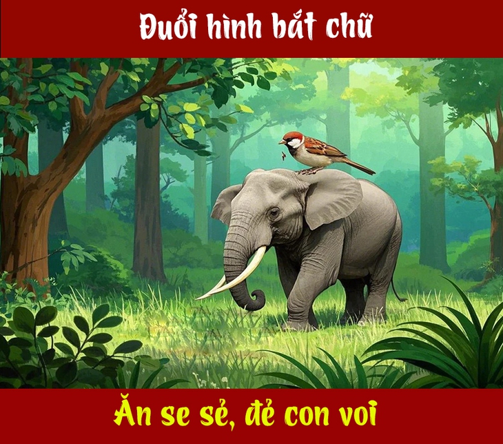 Câu tục ngữ, thành ngữ 'khó nhằn' này là gì? (P97) - Ảnh 1.