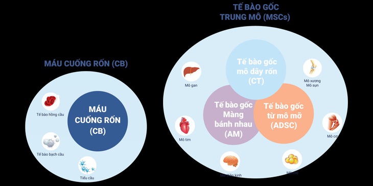 Ngân hàng mô Cryoviva đạt chứng nhận AABB của Hoa Kỳ - Ảnh 4.