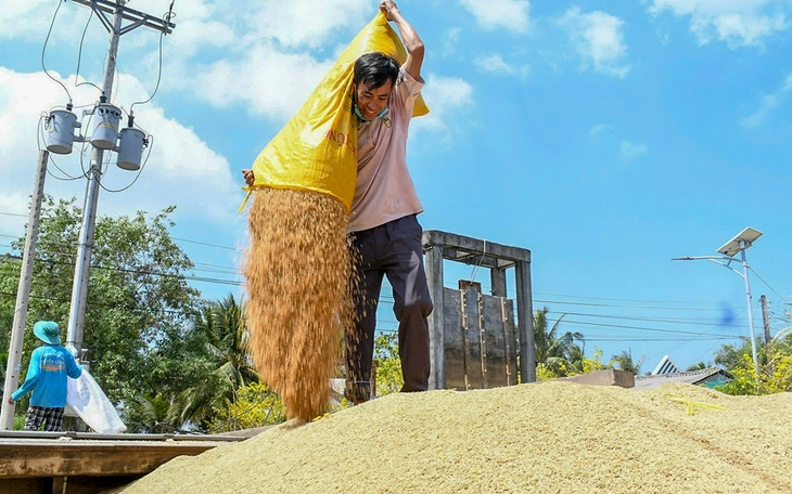 Bộ trưởng Đỗ Đức Duy: Doanh nghiệp nào ép giá， bán tháo gạo xuất khẩu hãy phản ánh ngay để xử lý - Ảnh 2.