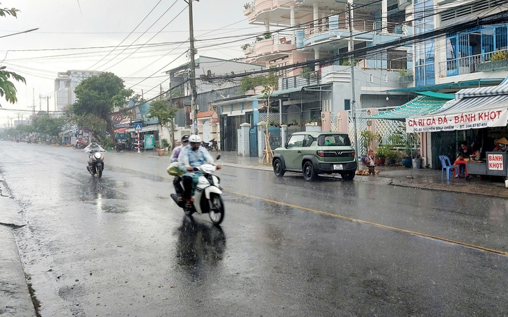 Mưa trái mùa rửa phèn lá cây khô khiến nguy cơ cháy rừng cao hơn - Ảnh 2.