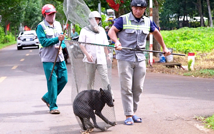 Từ vụ hành hung bảo vệ phố đi bộ Nguyễn Huệ: Khi người nuôi chó xem thường quy tắc nơi công cộng - Ảnh 2.