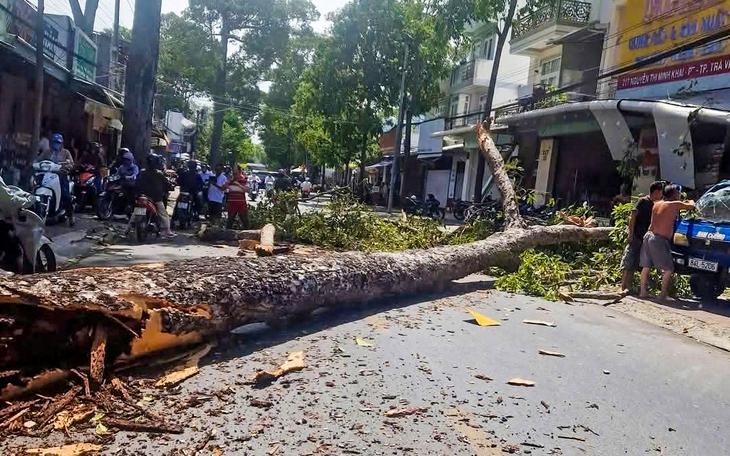 Bé trai 10 tuổi bị cành cây rơi trúng đầu ở quận 5 vẫn đang hôn mê sâu, thở máy - Ảnh 3.
