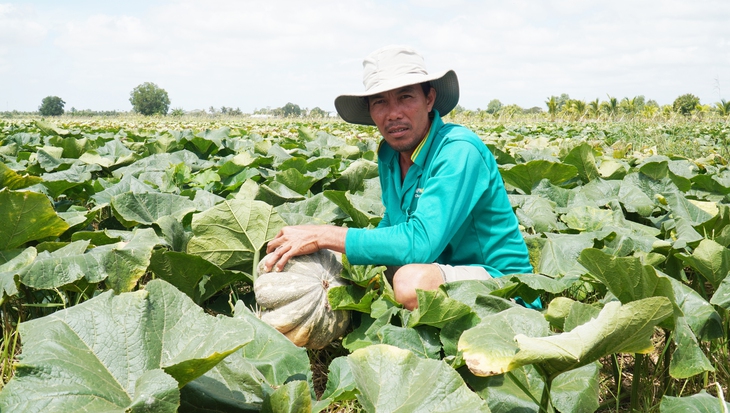 Mô hình lúa - cá - sen - du lịch dựa vào thuận nhiên thu nhập gần 100 triệu đồng - Ảnh 7.