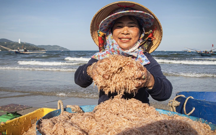 Bắt loại tôm bé như đầu đũa, ngư dân Đà Nẵng thu tiền triệu mỗi ngày - Ảnh 8.