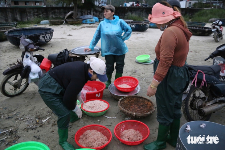 Giá ruốc biển tăng cao, ngư dân Đà Nẵng không có ruốc bán - Ảnh 3.