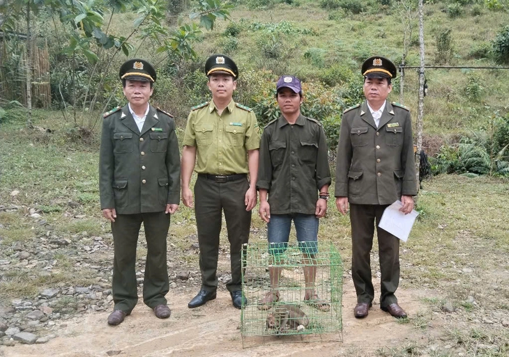 ‘Tiểu ngộ không’ quý hiếm mắc bẫy thợ săn, may mắn được nhân viên khu du lịch cứu giúp - Ảnh 3.