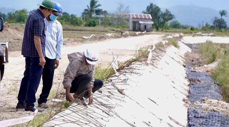 Đê bao chắn lũ làm mãi không xong, hơn 200 héc ta lúa ngập nặng - Ảnh 3.