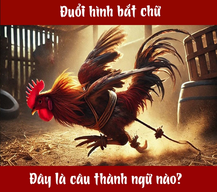 Câu tục ngữ, thành ngữ 'khó nhằn' này là gì? (P100) - Ảnh 1.