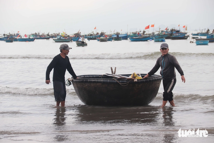 Bắt loại tôm bé như đầu đũa, ngư dân Đà Nẵng thu tiền triệu mỗi ngày - Ảnh 2.