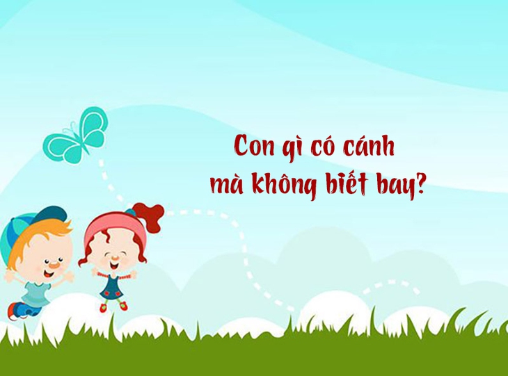 Con gì có cánh mà không biết bay? - Ảnh 1.