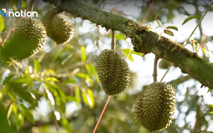 Mỹ cảnh báo an ninh cho công dân tại Thái Lan sau vụ trục xuất người Duy Ngô Nhĩ - Ảnh 1.