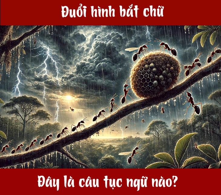 Câu tục ngữ, thành ngữ 'khó nhằn' này là gì? (P103) - Ảnh 1.