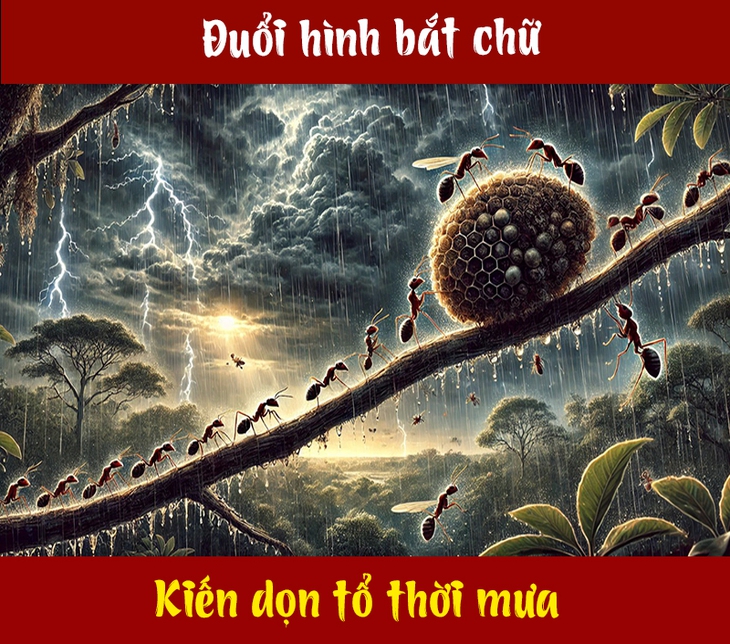 Câu tục ngữ, thành ngữ 'khó nhằn' này là gì? (P103) - Ảnh 1.