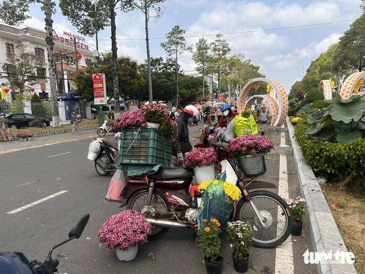 Hàng trăm người mang hoa về nhà trong ngày tháo dỡ Đường hoa xuân Cao Lãnh   - Ảnh 1.