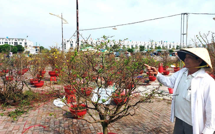 Festival hoa kiểng Sa Đéc phải tạo ra 'cú hích' về du lịch và thị trường hoa Tết - Ảnh 3.
