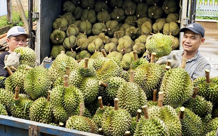 Ký nghị định thư xuất khẩu mít tươi sang Trung Quốc - Ảnh 3.