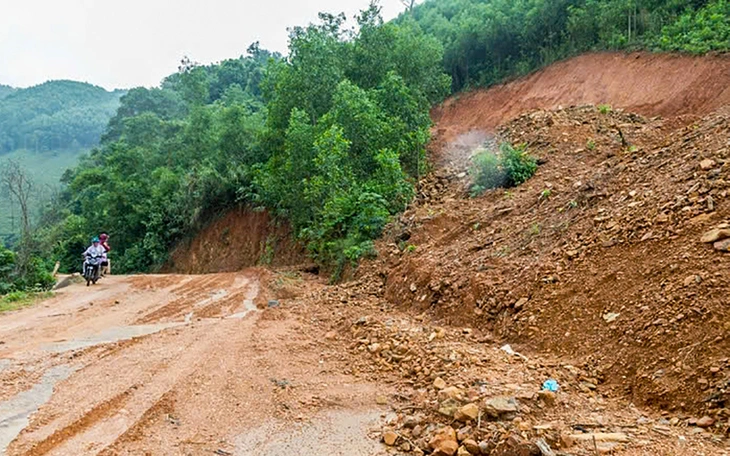 1.800 m3 gỗ rừng ở Quảng Nam ế ẩm, 5 lần đấu giá, 2 lần đại hạ giá vẫn không 'trôi' - Ảnh 4.