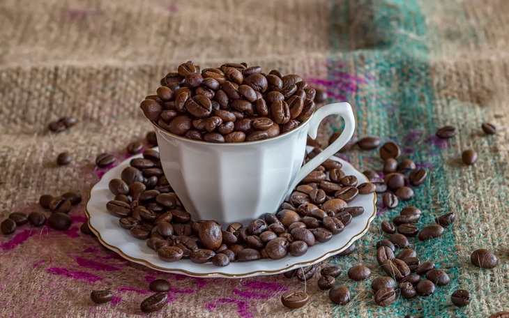 Phát hiện caffeine có thể diệt ruồi - Ảnh 2.