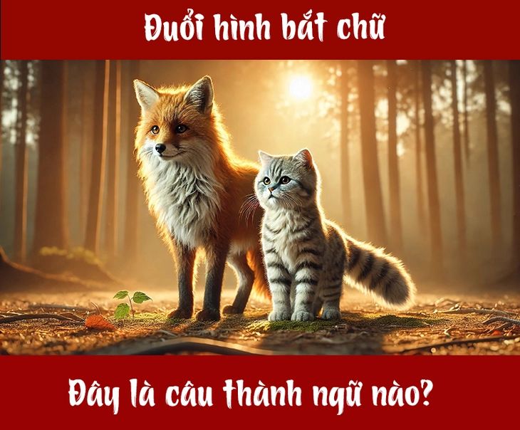 Câu tục ngữ, thành ngữ 'khó nhằn' này là gì? (P104) - Ảnh 1.