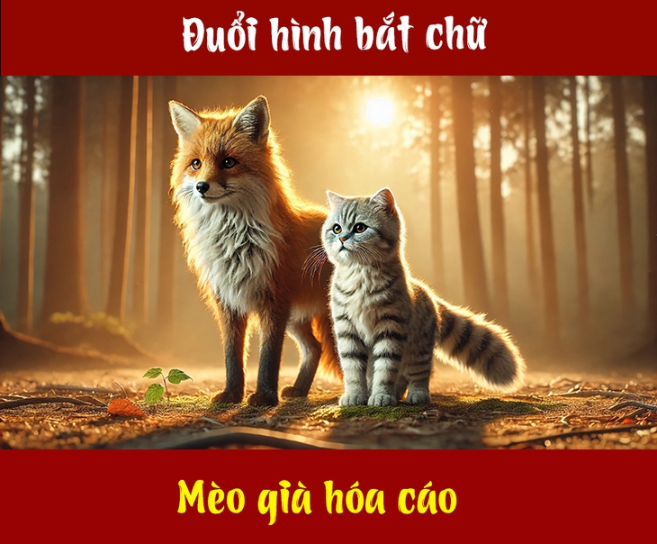 Câu tục ngữ, thành ngữ 'khó nhằn' này là gì? (P104) - Ảnh 1.