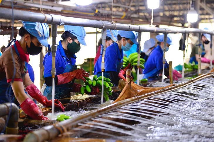 Sân chơi bình đẳng cho doanh nghiệp tư nhân - Ảnh 1.