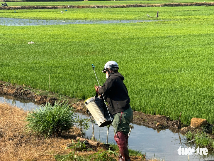 Mối nguy từ rác thải thuốc bảo vệ thực vật - Ảnh 3.