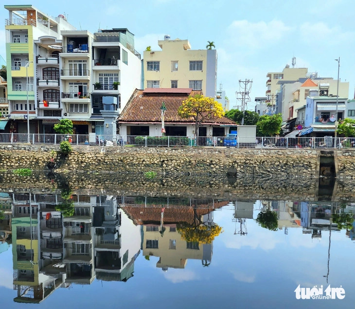 Hoa chuông vàng khoe sắc vàng rực bên kênh Tàu Hủ, quận 8 - Ảnh 12.