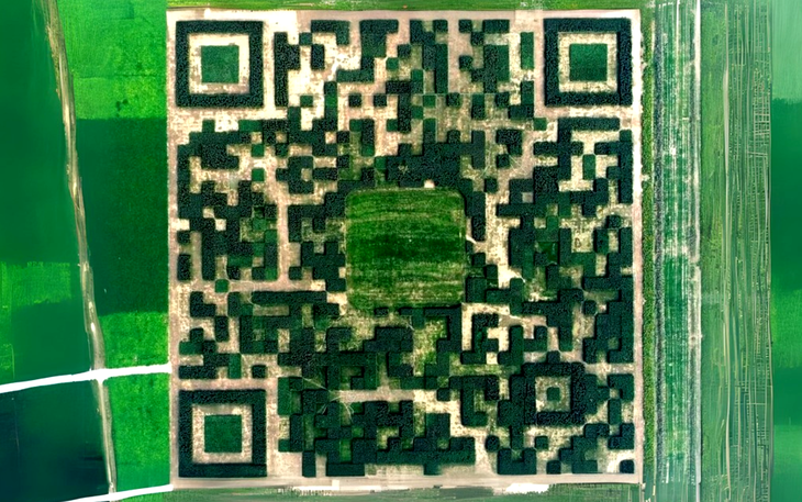 Thôn gắn biển QR đầu kiệt, đường thôn hiện đại hơn nhà mặt phố - Ảnh 2.