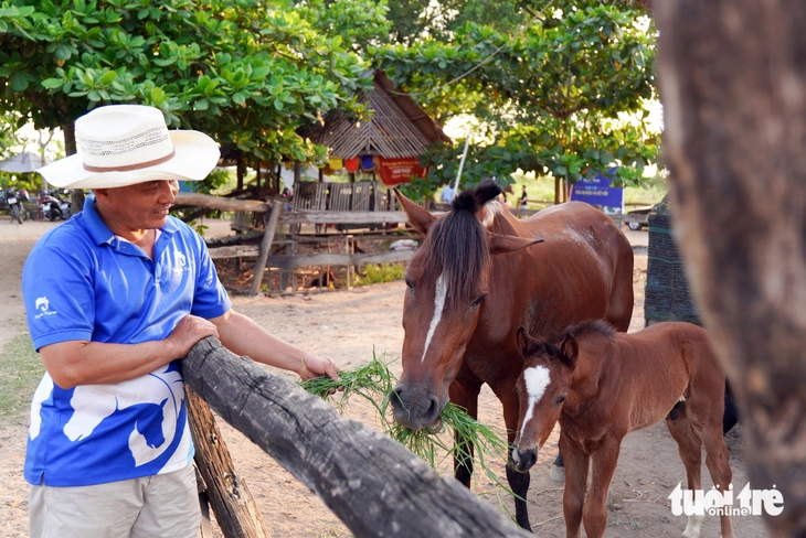 រកលុយជាមួយការងារពិសេស - ផ្នែកទី 7: ការហ្វឹកហាត់សេះក្នុងសម័យ AI - រូបថត 1 ។