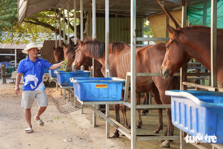 Gana dinero con un trabajo único - Parte 7: Entrenamiento de caballos en la era de la IA - Foto 5.