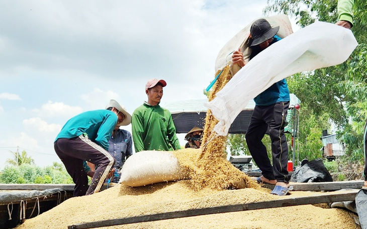 Chung tay bảo vệ thương hiệu gạo Việt - Ảnh 5.