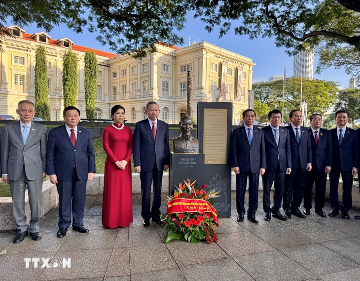 Singapore có loài hoa lan mới, tên 'Papilionanda Tô Lâm Linh Ly' - Ảnh 1.