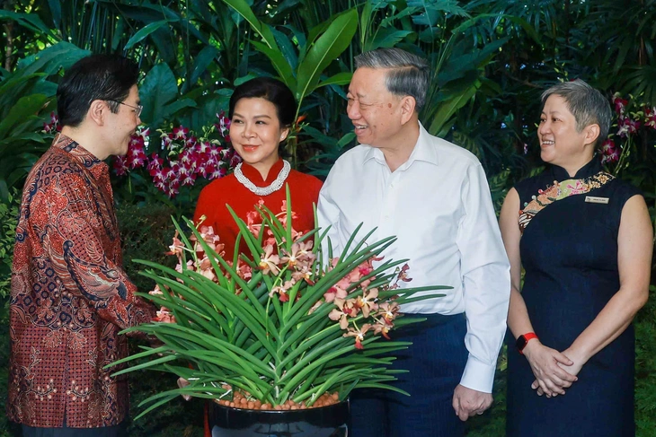 Singapore có loài hoa lan mới, tên 'Papilionanda Tô Lâm Linh Ly' - Ảnh 2.