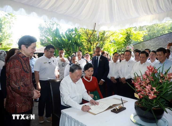 Singapore có loài hoa lan mới, tên 'Papilionanda Tô Lâm Linh Ly' - Ảnh 5.