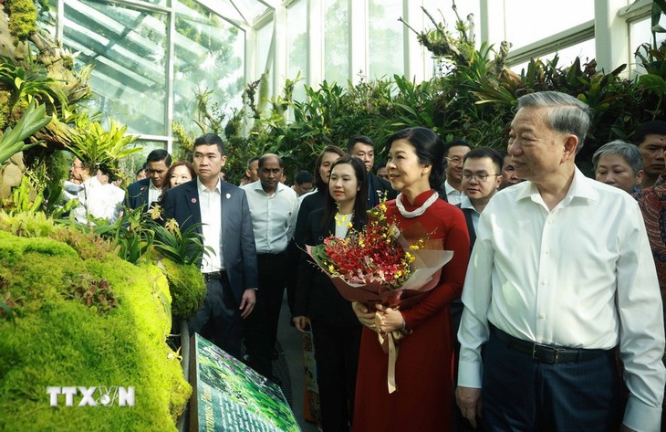 Singapore có loài hoa lan mới, tên 'Papilionanda Tô Lâm Linh Ly' - Ảnh 4.