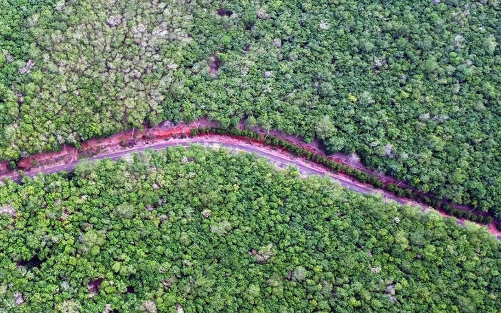 Đồng Nai - Bình Phước giáp ranh 160 km nhưng chưa có đường, kết nối giao thông tương lai ra sao? - Ảnh 2.