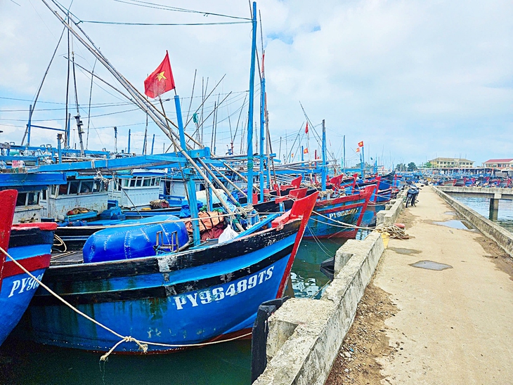 Thanh niên vào khu công nghiệp, tàu xa bờ phải nằm bờ - Ảnh 1.