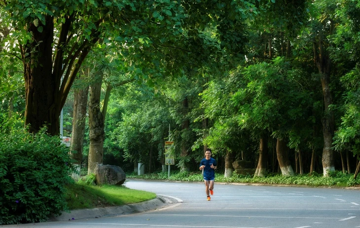 Ecopark và hành trình kiến tạo rừng retreat đầu tiên tại Việt Nam - Ảnh 2.