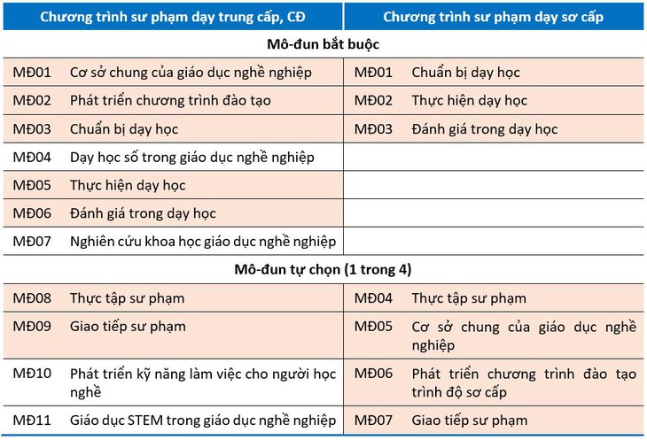 Giáo viên dạy lái xe cần nghiệp vụ sư phạm nào? - Ảnh 2.