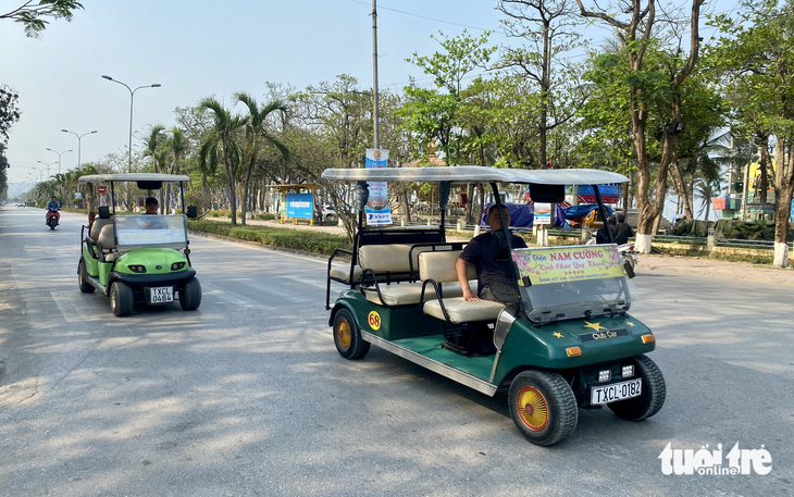 Hiệp hội Vận tải ô tô Việt Nam kiến nghị Thủ tướng ‘giải cứu’ xe điện bốn bánh - Ảnh 1.