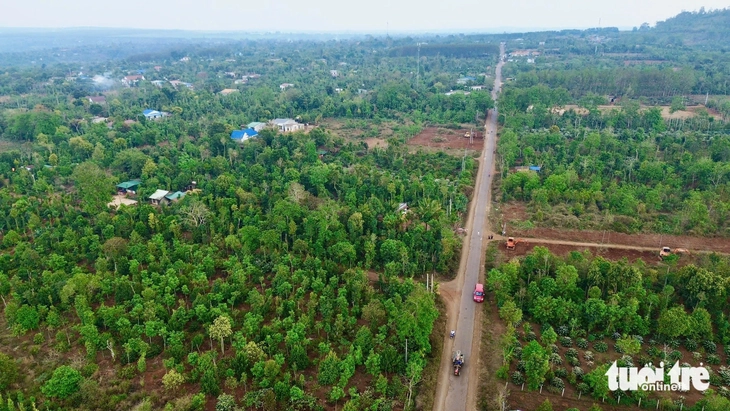 Trước thông tin sáp nhập tỉnh, người dân Đắk Lắk ùn ùn làm thủ tục đất đai - Ảnh 1.