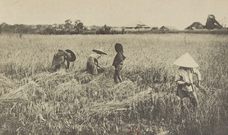 Giải mã lại Chú Hỏa - đại gia lừng lẫy Sài Gòn - Kỳ 4: Nhà Hui Bon Hoa tích lũy đất đai Sài Gòn - Ảnh 2.