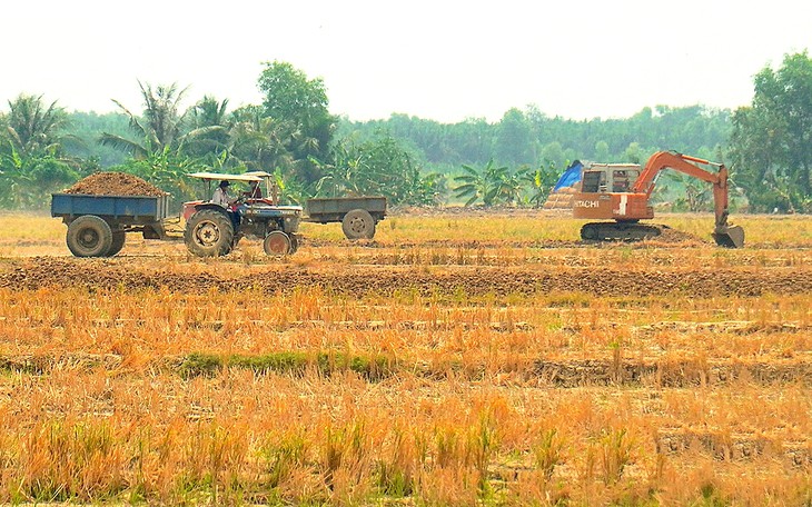 Khai thác đất mặt ruộng trái phép, một người ở Vĩnh Long bị khởi tố, cấm đi khỏi nơi cư trú - Ảnh 3.