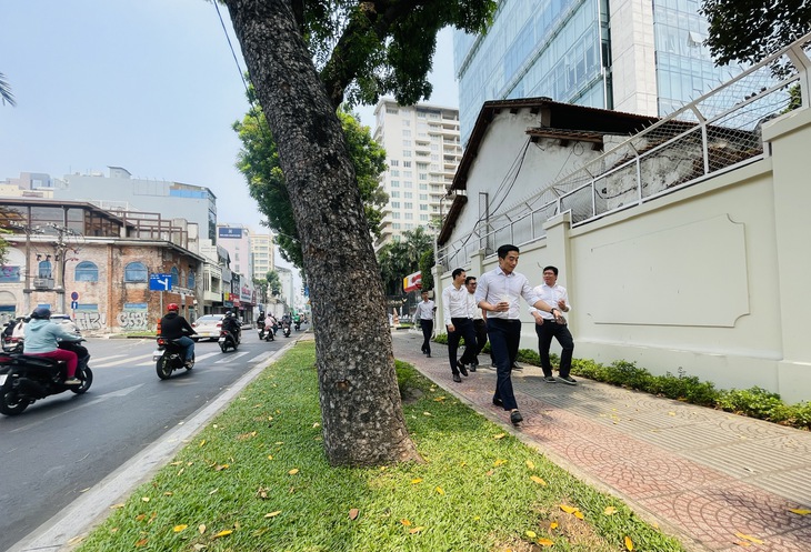 Thi công vỉa hè cắt luôn rễ cây xanh, phải chế tài nhà thầu - Ảnh 4.