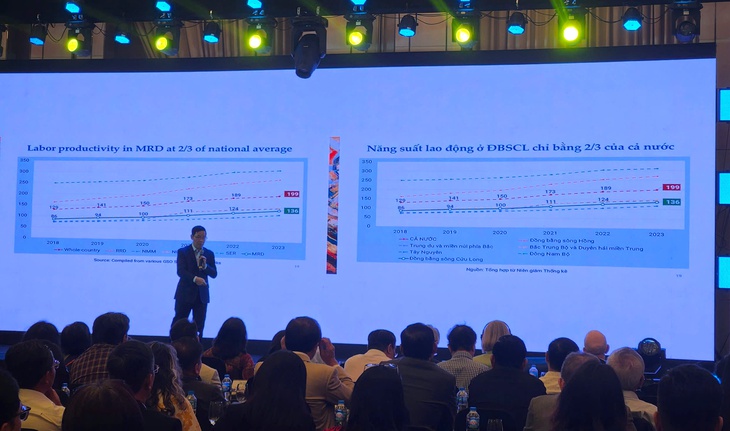 Gần 60% lao động Đồng bằng sông Cửu Long chỉ học hết tiểu học - Ảnh 1.
